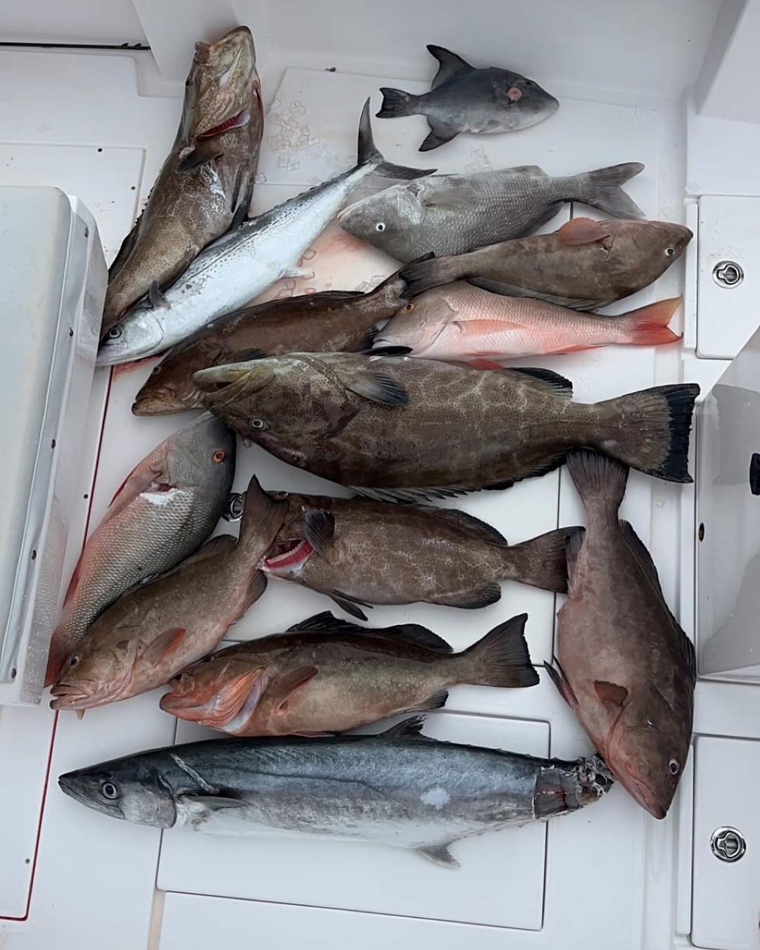 Open Caribbean waters on the charter